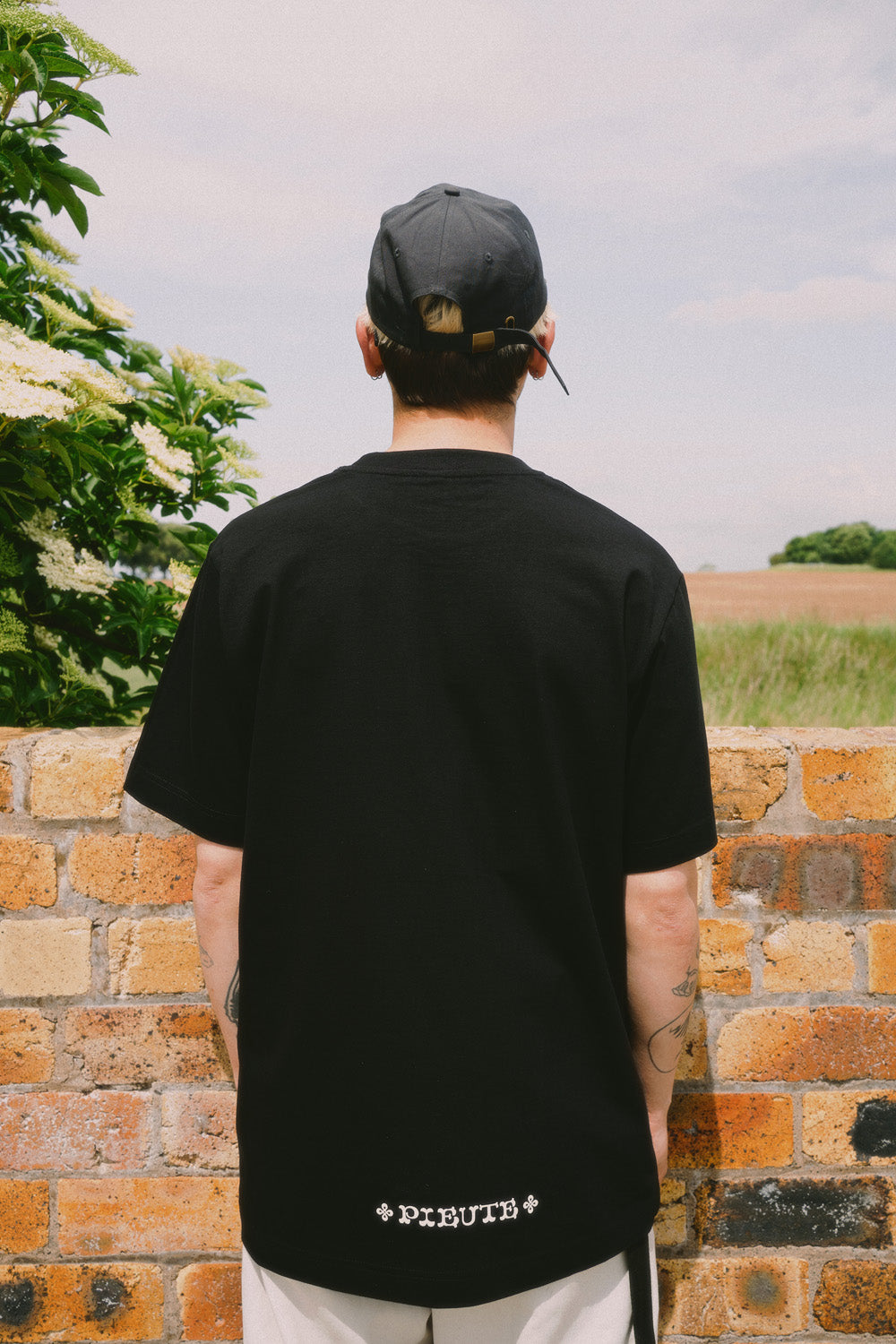 Celtic Lion - Black