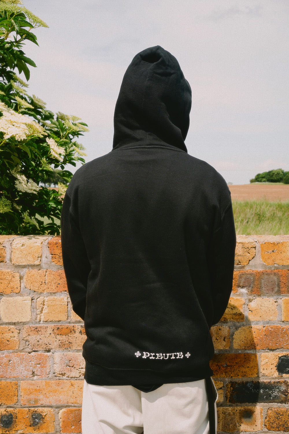 Celtic Lion - Hood - Black