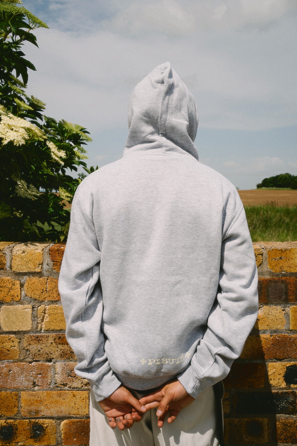 Celtic Lion - Hood - Grey